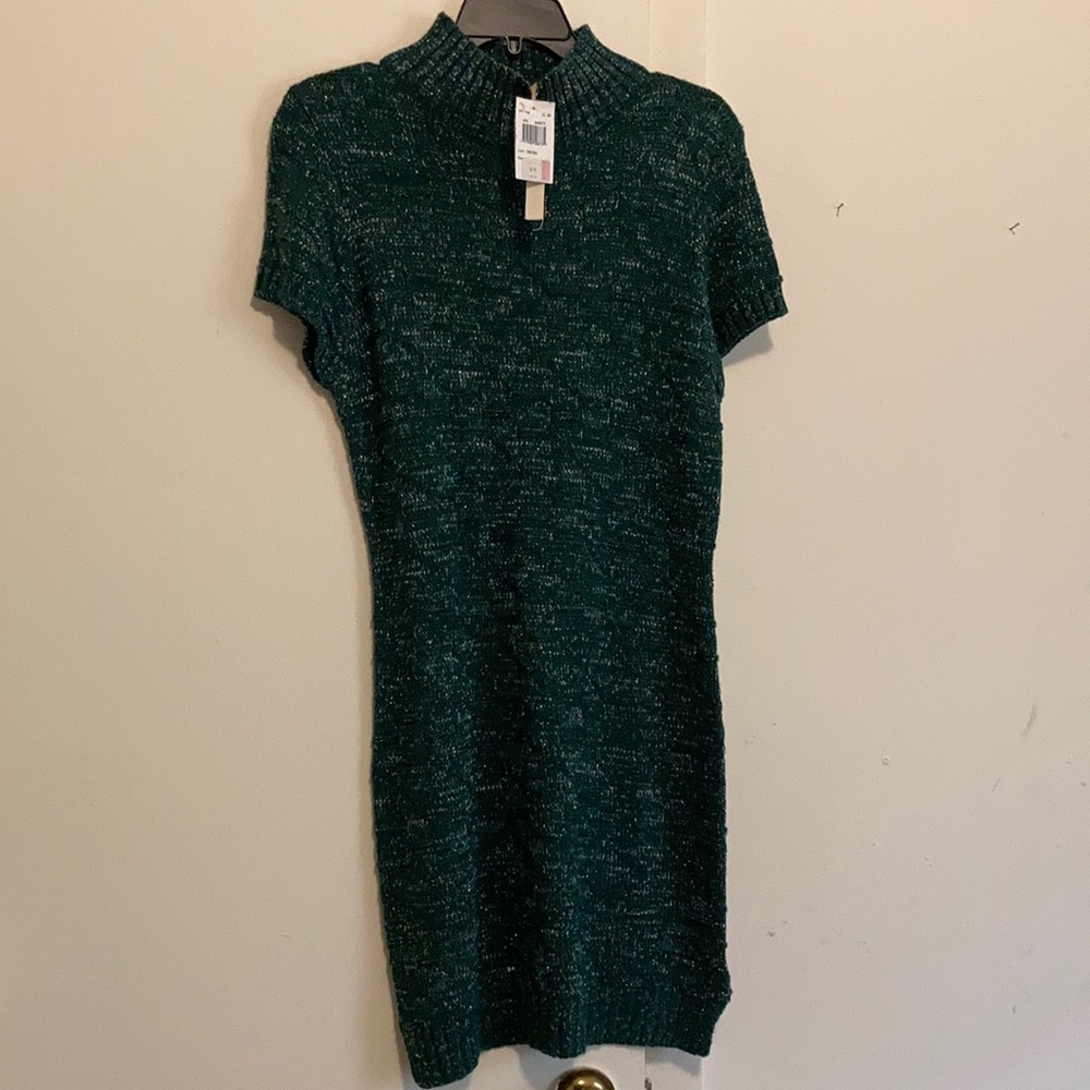 New Moral Fiber dress